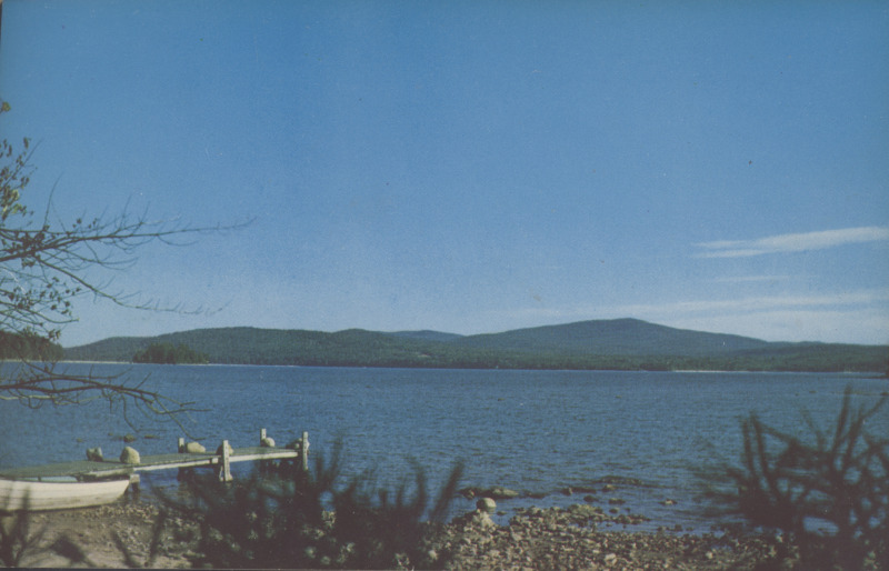 Scaled image s00391.jpg 