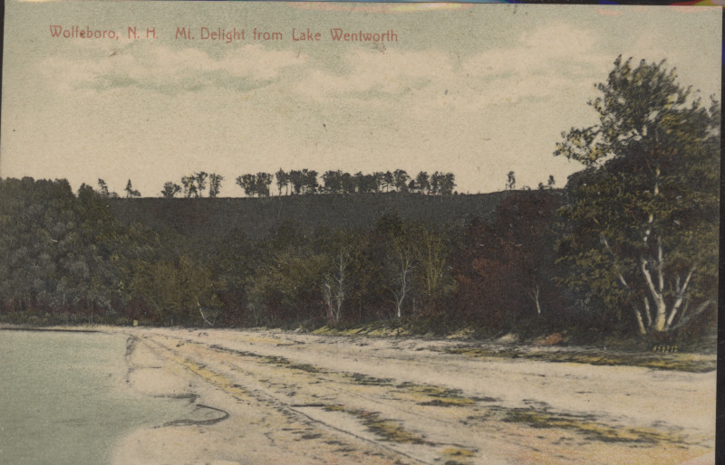 Scaled image s00394.jpg 