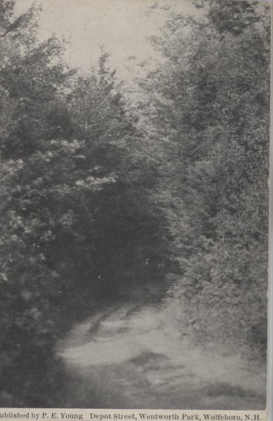 Scaled image s00407.jpg 