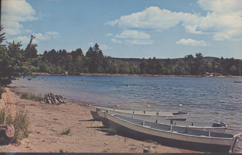 Scaled image s00410.jpg 