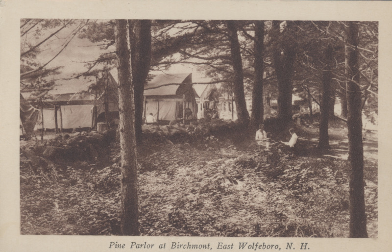Scaled image s00118.jpg 
