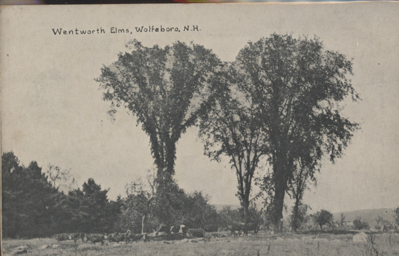 Scaled image s00241.jpg 