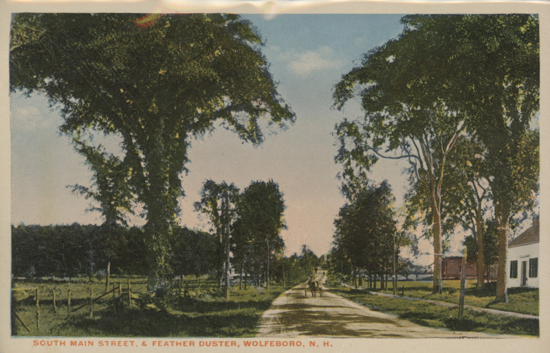 Scaled image s00242.jpg 