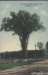 Thumbnail s00239.jpg 