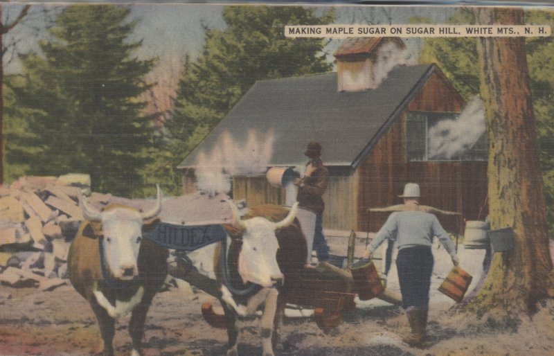 Scaled image s00606.jpg 