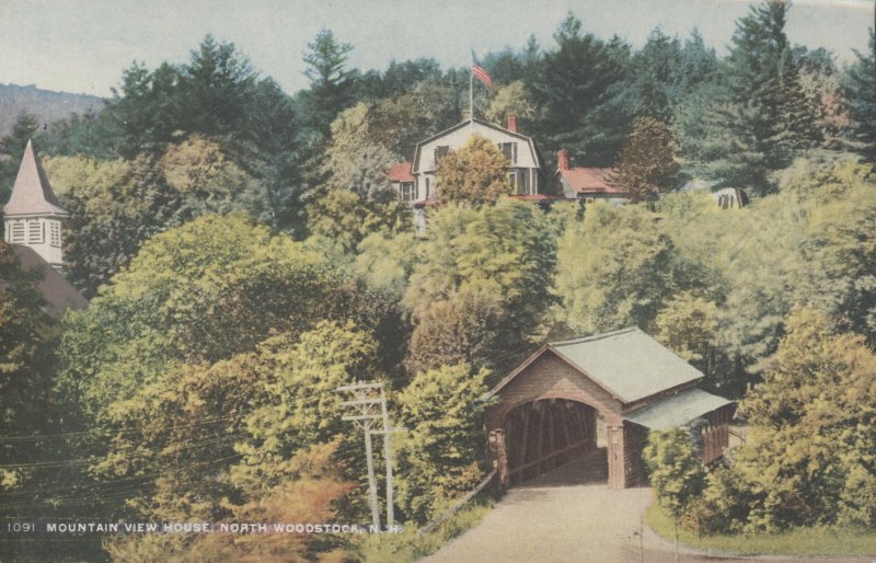 Scaled image s00608.jpg 