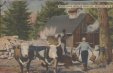 Thumbnail s00606.jpg 