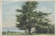Thumbnail s00667.jpg 