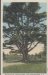 Thumbnail s00668.jpg 