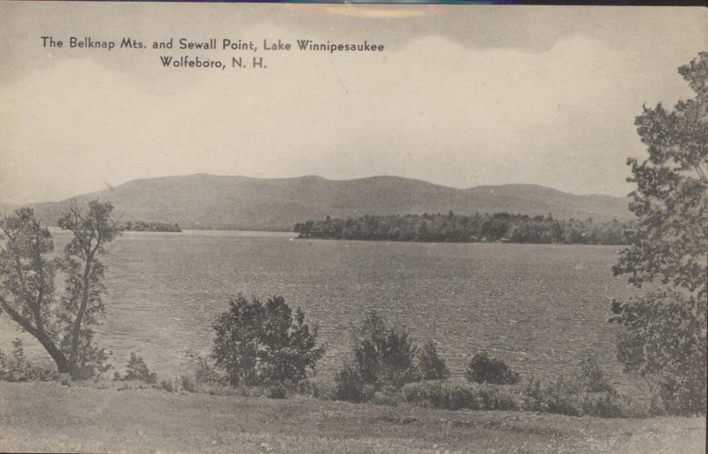 Scaled image s00532.jpg 