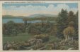 Thumbnail s00531.jpg 
