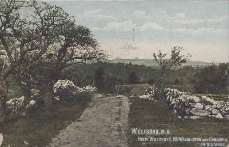 Scaled image s00514.jpg 