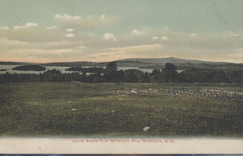 Scaled image s00517.jpg 