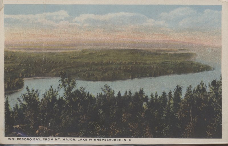 Scaled image s00523.jpg 