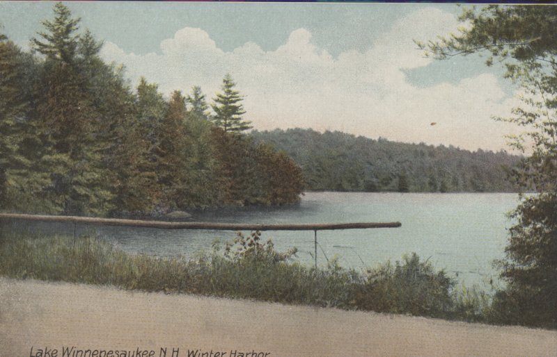 Scaled image s00524.jpg 