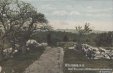 Thumbnail s00514.jpg 