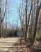 Thumbnail summer_road_sign.jpg 