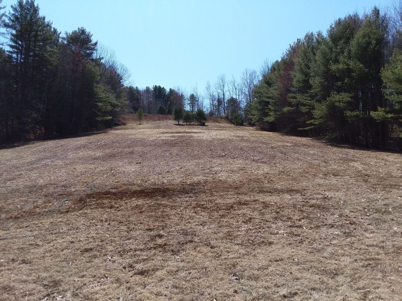 Scaled image 40_Ski_slope.jpg 