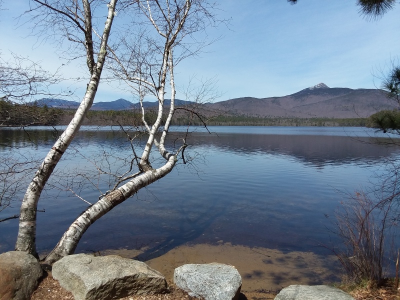Scaled image 66_Chocorua_Lake_Mountain.jpg 